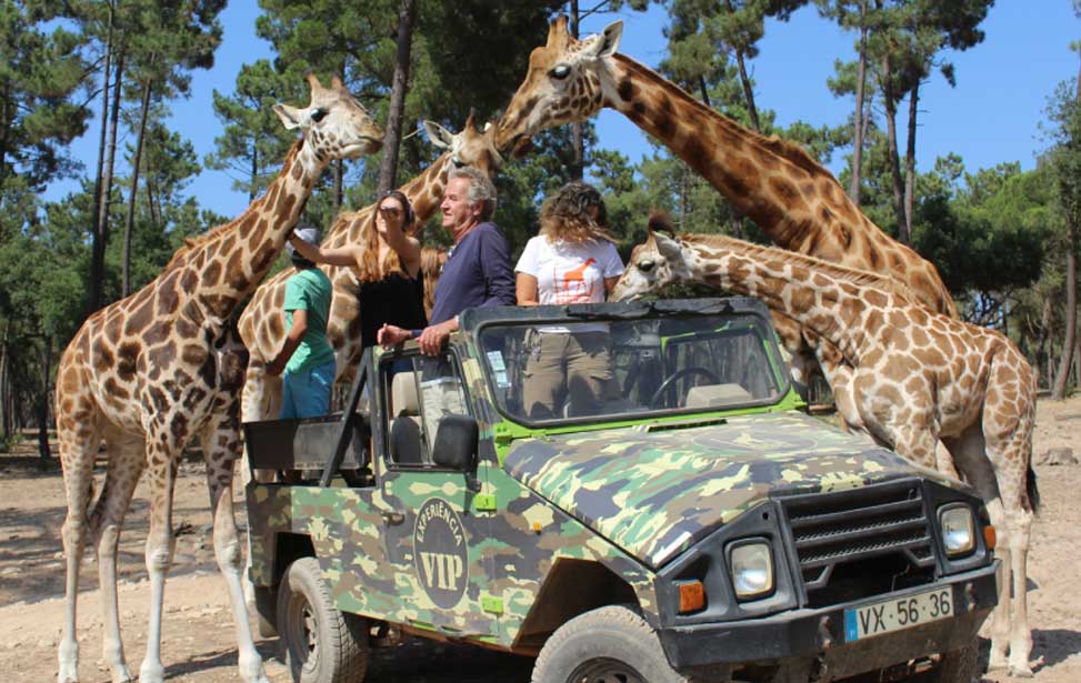 Badoca Safari Park