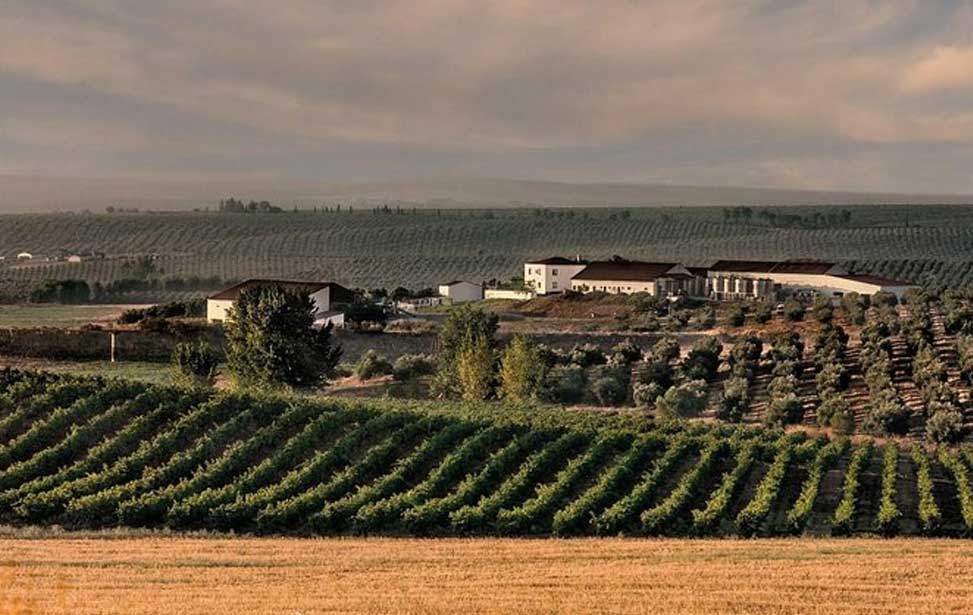 Alentejo Wine Tour from the Algarve