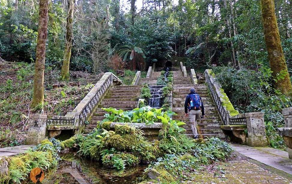 An adventure through the Bussaco National Forest - Coimbra