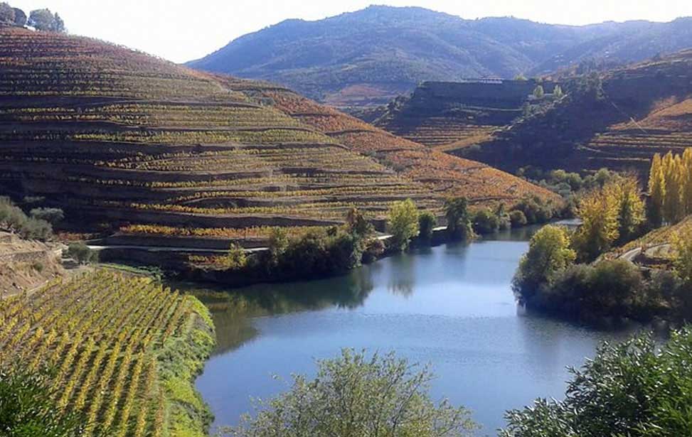 Douro Valley Régua-Pinhão boat trip and tasting