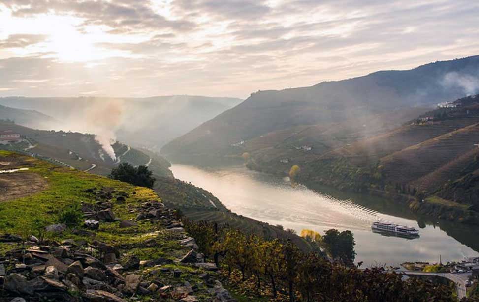 Boat Trip to Régua Through the Douro Valley with Breakfast and Lunch