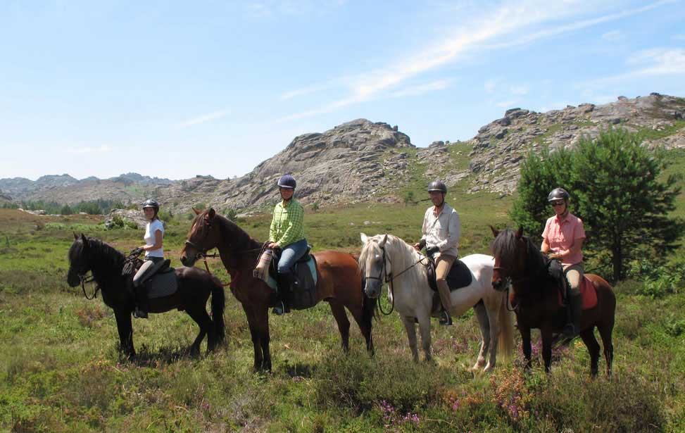 Ecotura Horse Riding