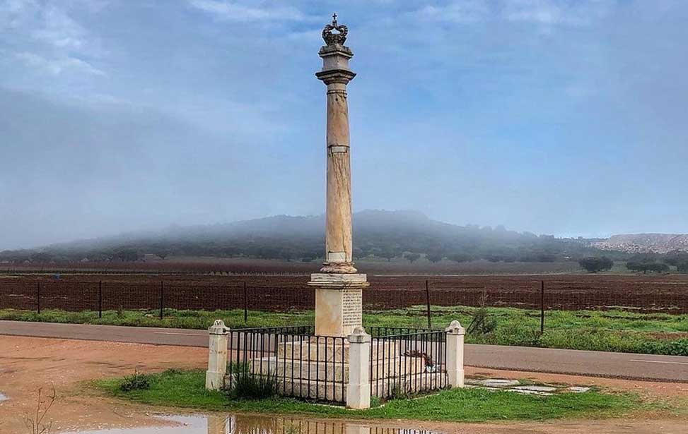 Padrão da Batalha de Montes Claros