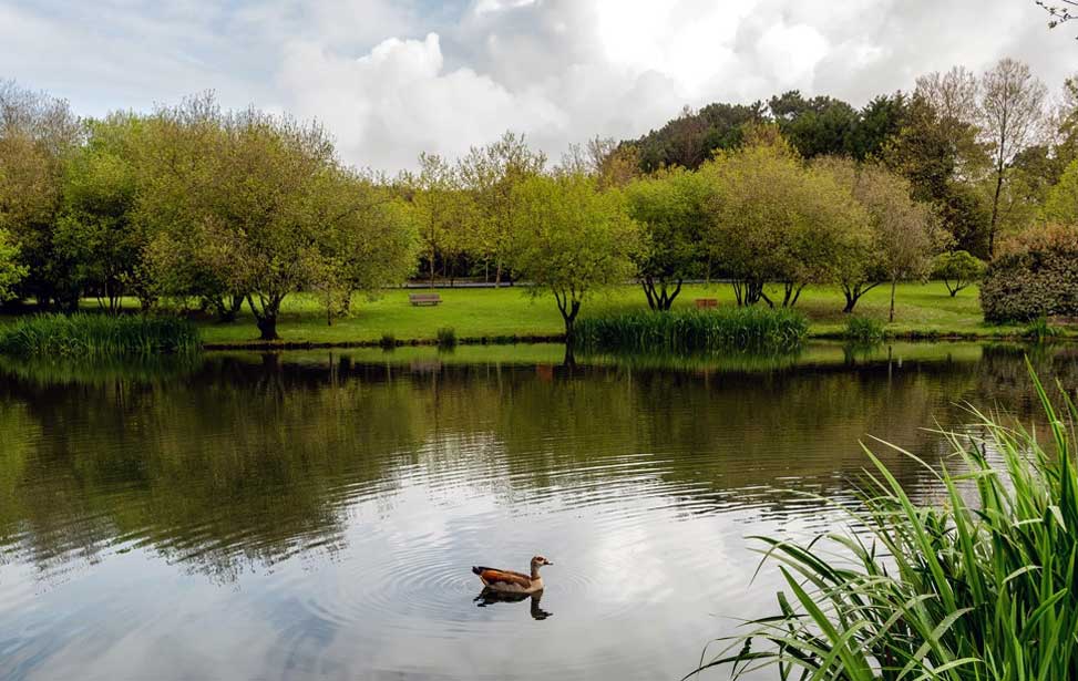 Parque da Cidade