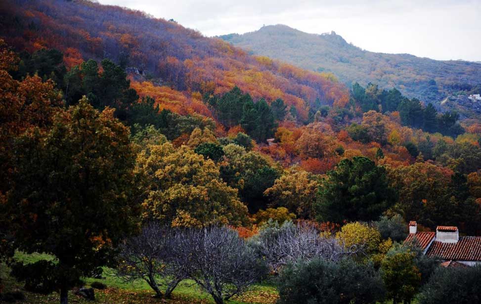 Parque Natural (Natural Park of) Serra de São Mamede