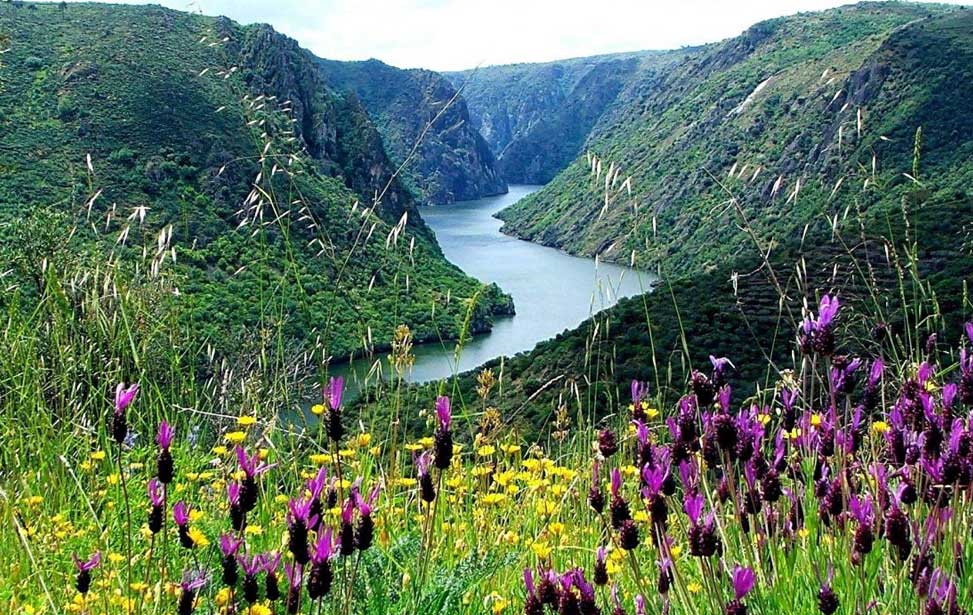 Parque Natural do Douro Internacional