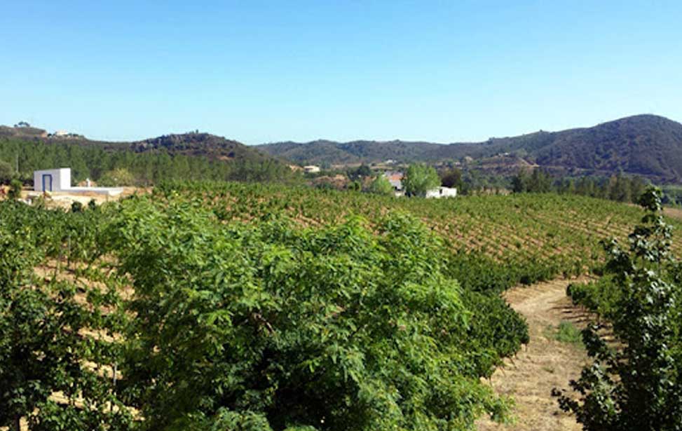 Quinta do Francês