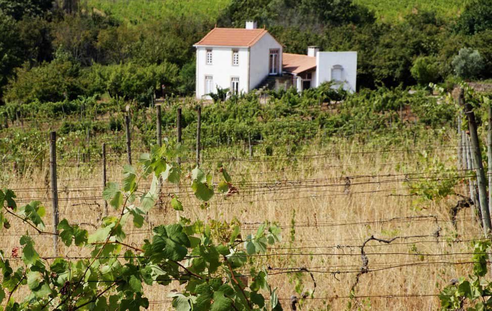 Quinta dos Roques