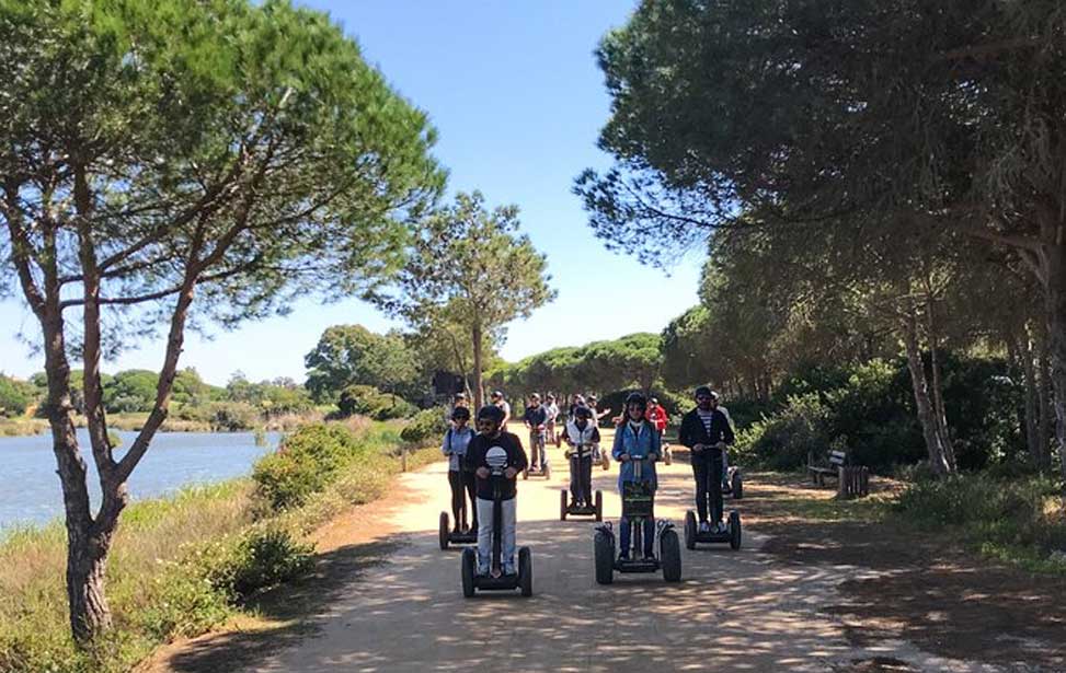 Ria Formosa Natural Park Birdwatching Segway Tour from Faro