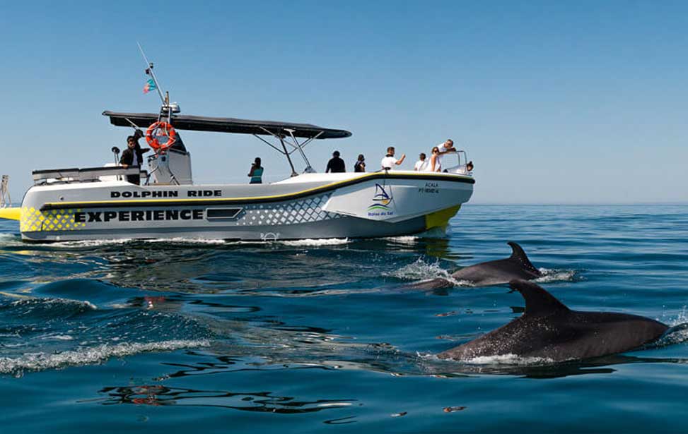 Rotas do Sal, Dolphin & Bird watching