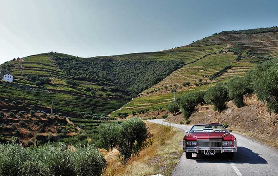 Tour to the Palace of Mateus and the Douro